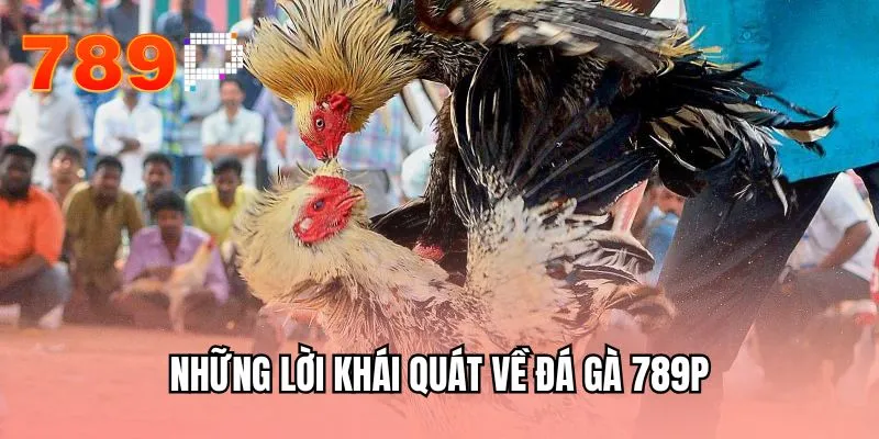 Những lời khái quát về đá gà 789P